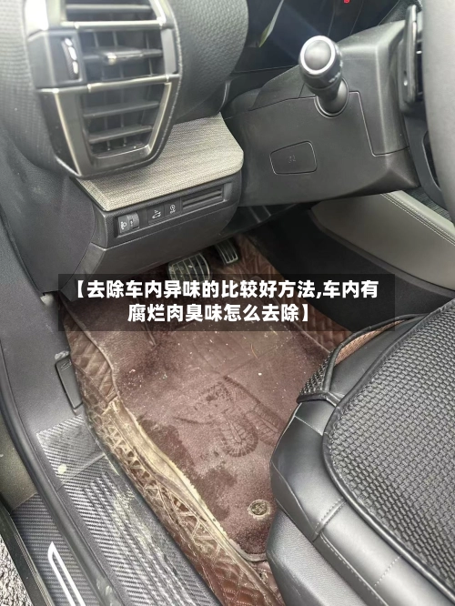 【去除车内异味的比较好方法,车内有腐烂肉臭味怎么去除】-第3张图片