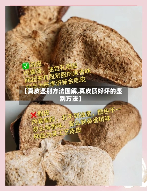 【真皮鉴别方法图解,真皮质好坏的鉴别方法】-第3张图片