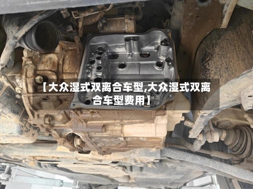 【大众湿式双离合车型,大众湿式双离合车型费用】