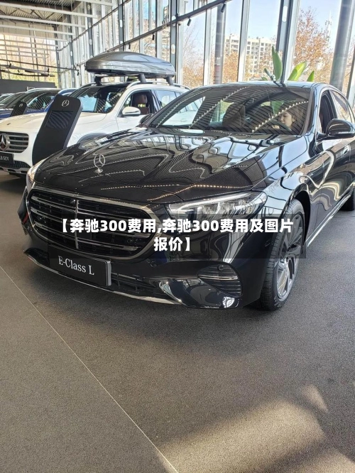 【奔驰300费用,奔驰300费用及图片 报价】