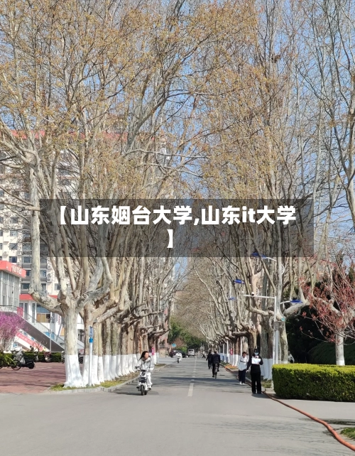 【山东姻台大学,山东it大学】