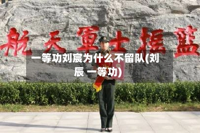 一等功刘宸为什么不留队(刘辰 一等功)-第3张图片