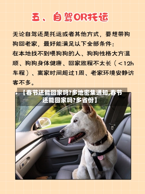 【春节还能回家吗?多地密集通知,春节还能回家吗?多省份】-第3张图片