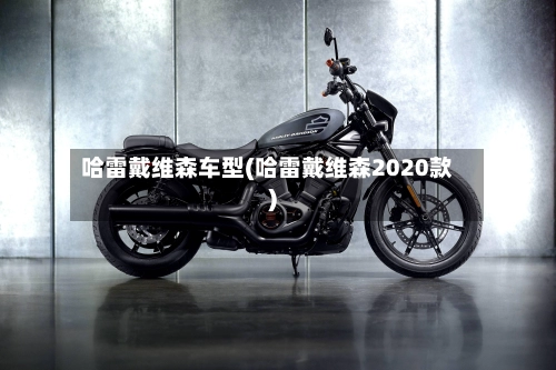 哈雷戴维森车型(哈雷戴维森2020款)-第3张图片