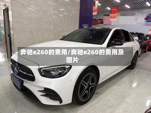 奔驰e260的费用/奔驰e260的费用及图片-第2张图片