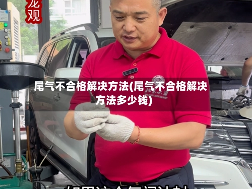 尾气不合格解决方法(尾气不合格解决方法多少钱)-第2张图片