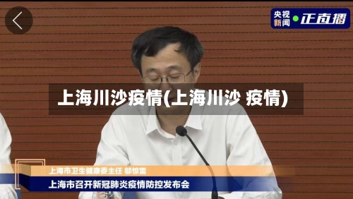 上海川沙疫情(上海川沙 疫情)-第2张图片