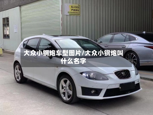 大众小钢炮车型图片/大众小钢炮叫什么名字