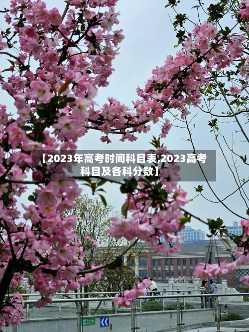 【2023年高考时间科目表,2023高考科目及各科分数】