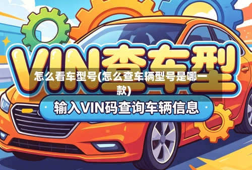 怎么看车型号(怎么查车辆型号是哪一款)