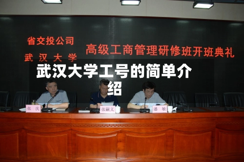 武汉大学工号的简单介绍-第3张图片