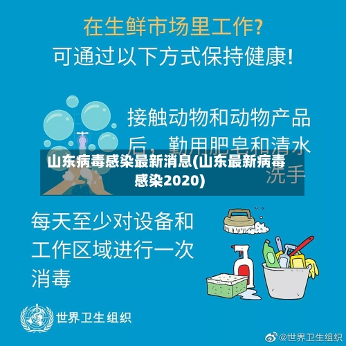 山东病毒感染最新消息(山东最新病毒感染2020)