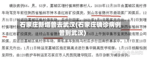 石家庄新增曾去武汉(石家庄确诊病例曾到武汉)-第2张图片