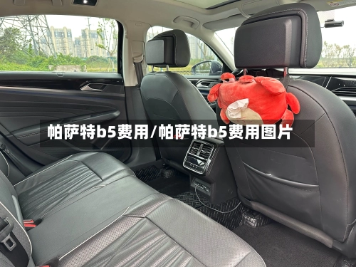 帕萨特b5费用/帕萨特b5费用图片