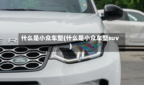 什么是小众车型(什么是小众车型suv)