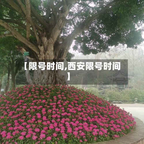 【限号时间,西安限号时间】-第2张图片