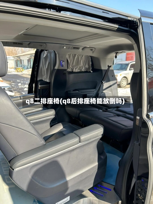 q8二排座椅(q8后排座椅能放倒吗)-第2张图片