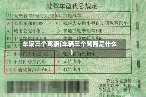 车辆三个驾照(车辆三个驾照是什么)