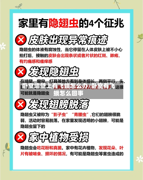 卧室墙壁上有飞蛾怎么办/卧室有飞蛾怎么回事