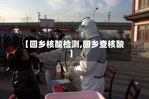 【回乡核酸检测,回乡查核酸】-第3张图片