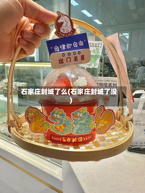 石家庄封城了么(石家庄封城了没)