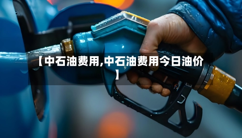【中石油费用,中石油费用今日油价】-第2张图片