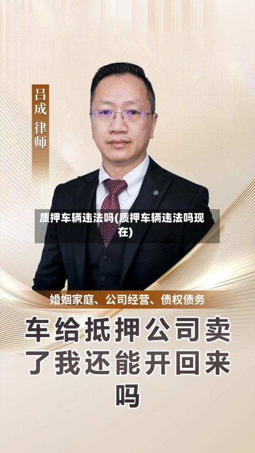 质押车辆违法吗(质押车辆违法吗现在)-第2张图片
