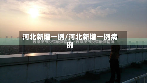 河北新增一例/河北新增一例病例-第2张图片