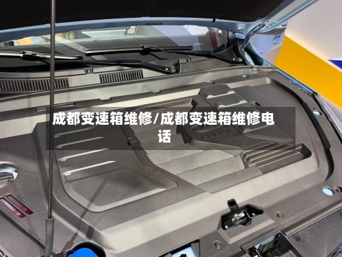 成都变速箱维修/成都变速箱维修电话-第2张图片