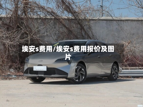 埃安s费用/埃安s费用报价及图片