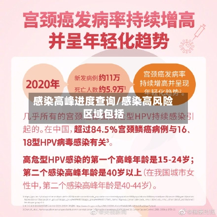 感染高峰进度查询/感染高风险区域包括-第2张图片