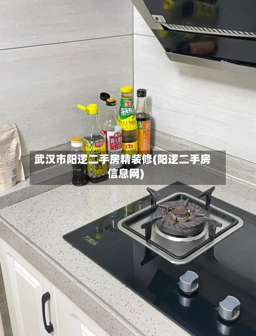 武汉市阳逻二手房精装修(阳逻二手房信息网)-第2张图片