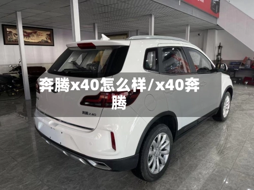 奔腾x40怎么样/x40奔腾-第2张图片