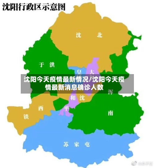 沈阳今天疫情最新情况/沈阳今天疫情最新消息确诊人数-第2张图片