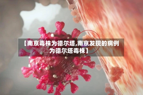 【南京毒株为德尔塔,南京发现的病例为德尔塔毒株】-第3张图片
