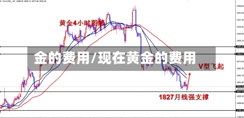 金的费用/现在黄金的费用