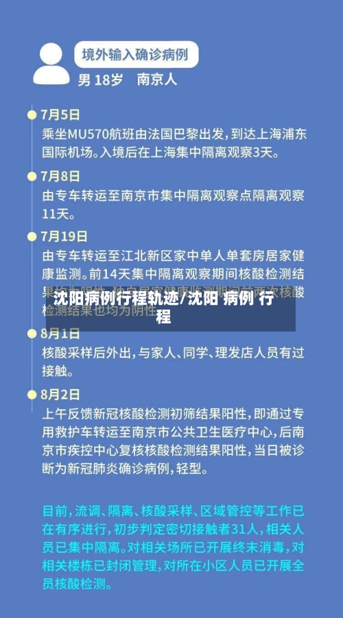 沈阳病例行程轨迹/沈阳 病例 行程-第2张图片