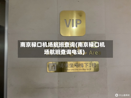南京禄口机场航班查询(南京禄口机场航班查询电话)