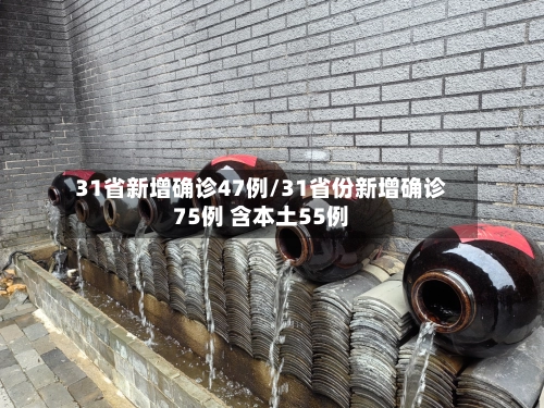 31省新增确诊47例/31省份新增确诊75例 含本土55例-第2张图片