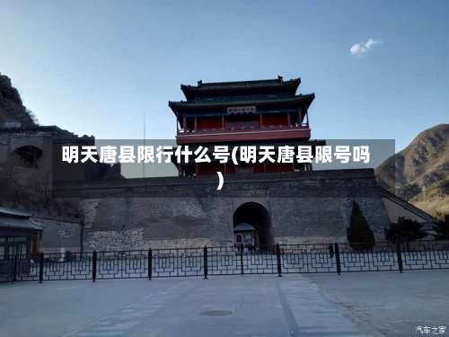明天唐县限行什么号(明天唐县限号吗)-第2张图片