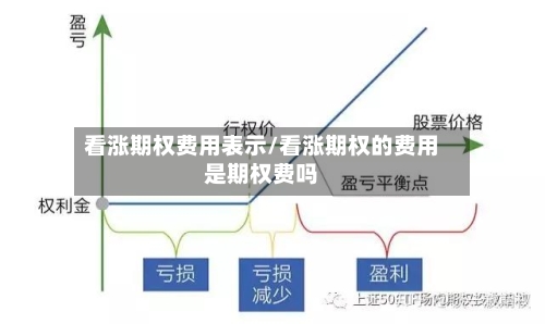 看涨期权费用表示/看涨期权的费用是期权费吗-第2张图片