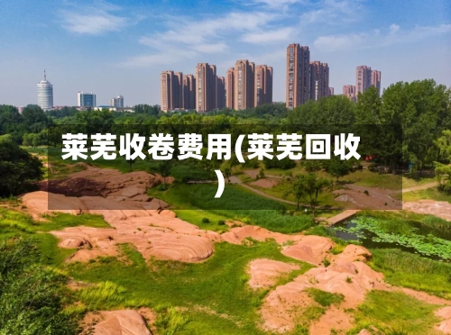 莱芜收卷费用(莱芜回收)
