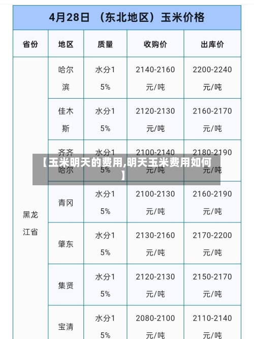 【玉米明天的费用,明天玉米费用如何】-第3张图片