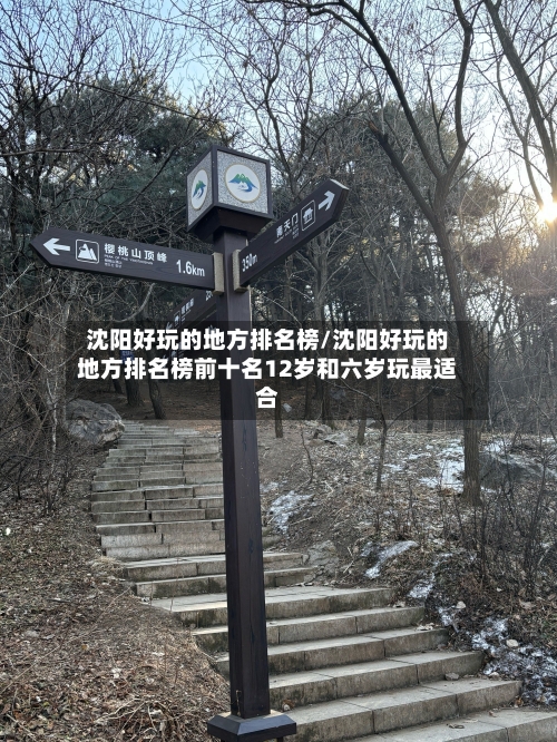 沈阳好玩的地方排名榜/沈阳好玩的地方排名榜前十名12岁和六岁玩最适合-第2张图片