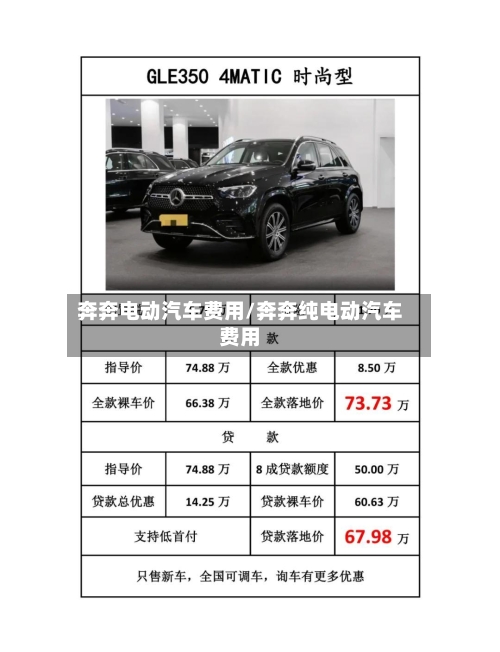 奔奔电动汽车费用/奔奔纯电动汽车费用