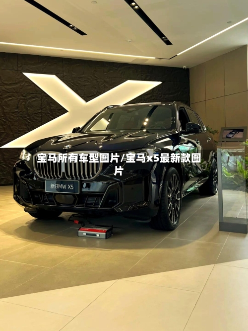 宝马所有车型图片/宝马x5最新款图片-第2张图片