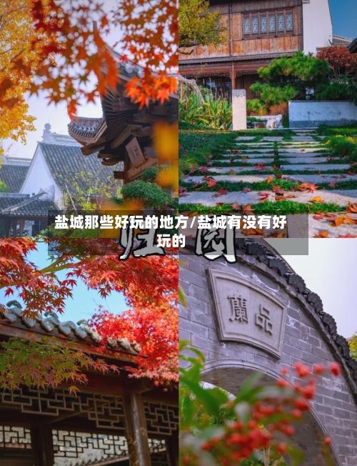 盐城那些好玩的地方/盐城有没有好玩的-第2张图片