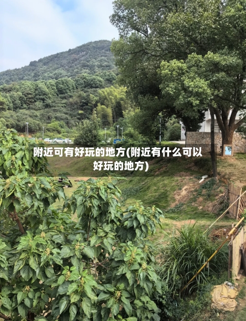 附近可有好玩的地方(附近有什么可以好玩的地方)-第2张图片