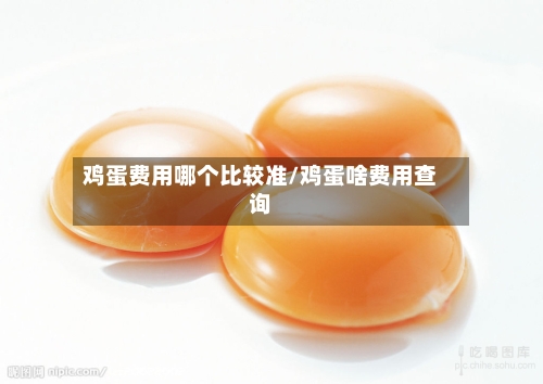 鸡蛋费用哪个比较准/鸡蛋啥费用查询-第2张图片