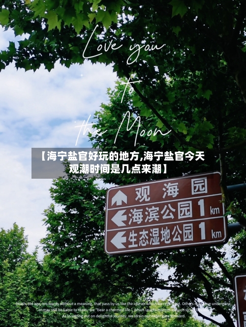 【海宁盐官好玩的地方,海宁盐官今天观潮时间是几点来潮】-第2张图片